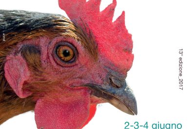 Borgoinfesta, dal 2 al 4 giugno le “Voci di Terra” risuonano a Borgagne - Corriere Salentino