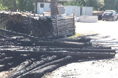 Molotov contro l’azienda salentina che ha trasportato 11 ulivi eradicati - Corriere Salentino