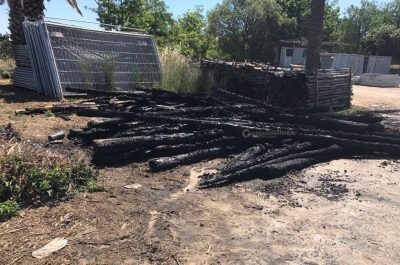 Molotov contro l’azienda salentina che ha trasportato 11 ulivi eradicati - Corriere Salentino