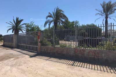 Molotov contro l’azienda salentina che ha trasportato 11 ulivi eradicati - Corriere Salentino