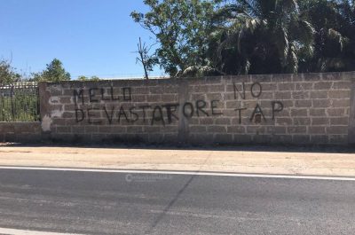 Molotov contro l’azienda salentina che ha trasportato 11 ulivi eradicati - Corriere Salentino