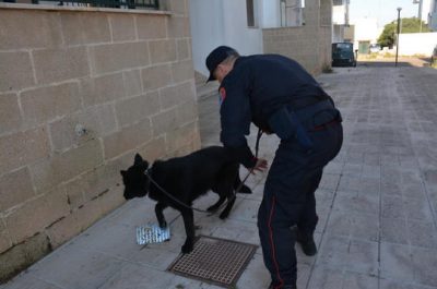 Si disfa della droga gettandola nel wc, ma i Carabinieri la recuperano, in manette 30enne - Corriere Salentino