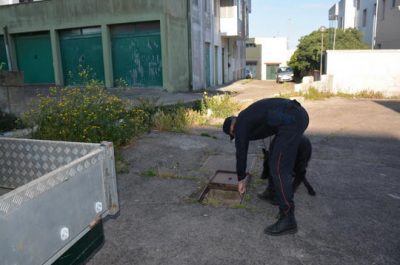 Si disfa della droga gettandola nel wc, ma i Carabinieri la recuperano, in manette 30enne - Corriere Salentino