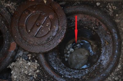 Si disfa della droga gettandola nel wc, ma i Carabinieri la recuperano, in manette 30enne - Corriere Salentino