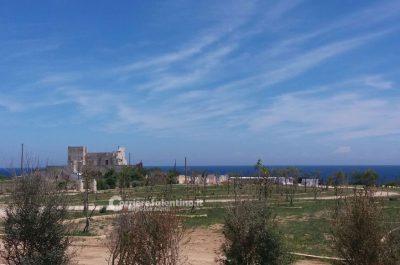 Presunti abusivismi edilizi, scatta il sequestro per il "Twiga" marchiato Briatore - Corriere Salentino