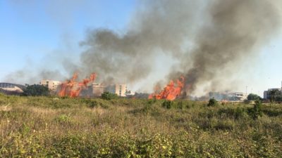Vasto incendio alla periferia di Lecce, paura per i residenti - Corriere Salentino