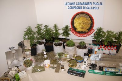 In casa un chilo di "erba", nel garage una serra di marijuana: arrestati due giovani conviventi - Corriere Salentino