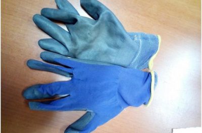 Dal campo Panareo per svaligiare abitazioni, in manette 2 rom - Corriere Salentino