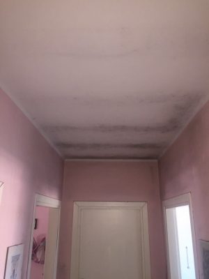 Il degrado delle case popolari di Parabita, muffa sui muri e interni cadenti. Non c'è un Piano di ristrutturazione - Corriere Salentino