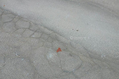 Schianto all'incrocio tra auto e motoape, 80enne in ospedale con "codice rosso" - Corriere Salentino