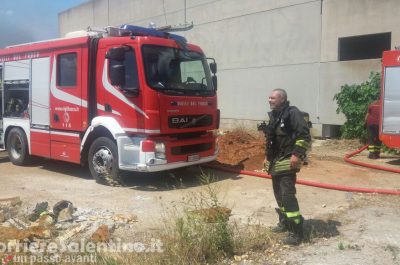 Vasto incendio nell'ex azienda di sottaceti, paura in mattinata nella zona industriale di Presicce - Corriere Salentino