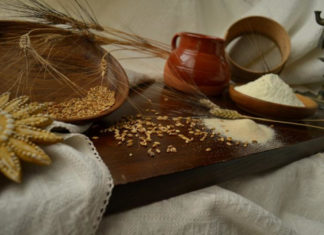 Dalla spiga alla farina: baby-mugnai macinano il grano in diretta con “Campagna Amica” Lecce