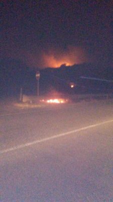 A fuoco l'area verde all'ingresso di Santa Cesarea: bruciano gli ulivi e il forte vento propaga le fiamme. Situazione sotto controllo - Corriere Salentino