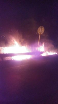 A fuoco l'area verde all'ingresso di Santa Cesarea: bruciano gli ulivi e il forte vento propaga le fiamme. Situazione sotto controllo - Corriere Salentino