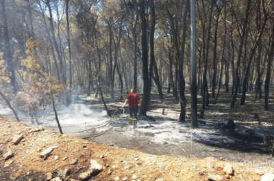 Vasto incendio "minaccia" l'ospedale di Gallipoli, evacuazione scongiurata. Il sindaco Minerva: "Un atto doloso" - Corriere Salentino