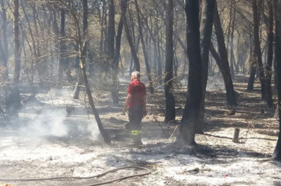 Vasto incendio "minaccia" l'ospedale di Gallipoli, evacuazione scongiurata. Il sindaco Minerva: "Un atto doloso" - Corriere Salentino