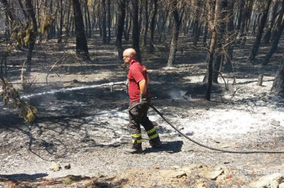 Vasto incendio "minaccia" l'ospedale di Gallipoli, evacuazione scongiurata. Il sindaco Minerva: "Un atto doloso" - Corriere Salentino