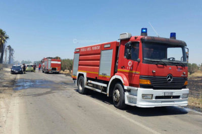 "Inferno" alla periferia di Racale, oltre 500 palme distrutte dalle fiamme alte fino a 20 metri - Corriere Salentino