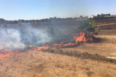 Incendio sulla statale 16, fiamme e fumo invadono la strada - Corriere Salentino