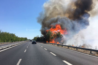 Incendio sulla statale 16, fiamme e fumo invadono la strada - Corriere Salentino