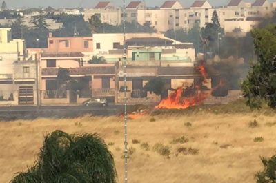 Fiamme alla periferia di Lecce, bruciano una pineta e una distesa di sterpaglie - Corriere Salentino