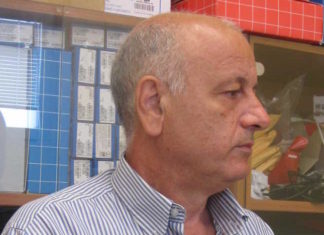 “Sballo” di ubriachi e tossici nei mesi estivi, interviene il 118: “Non facile da gestire”