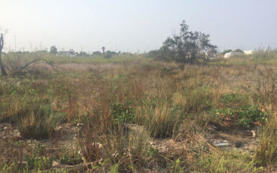 Spiaggiabella, spunta l'accampamento rom - Corriere Salentino