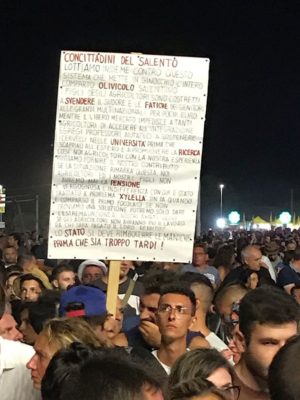 La Notte della Taranta nel nome della pace: la commistione tra pizzica e jazz, con voci straordinarie, danza e grandi musicisti - Corriere Salentino