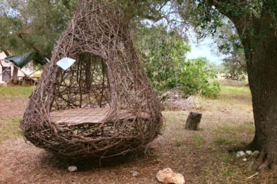 Dormire in un nido come gli uccelli? In Salento si può, in un uliveto secolare di 5500 ettari! - Corriere Salentino