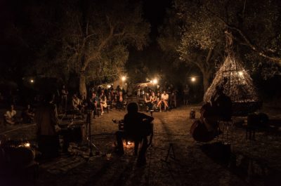 Dormire in un nido come gli uccelli? In Salento si può, in un uliveto secolare di 5500 ettari! - Corriere Salentino