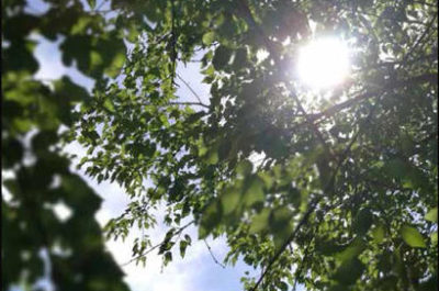 Nardò: Federica Sabato presenta il suo "Chiamalavita" - Corriere Salentino