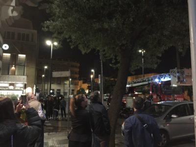 I vigili del fuoco salvano un gattino intrappolato su un albero in Viale Lo Re - Corriere Salentino