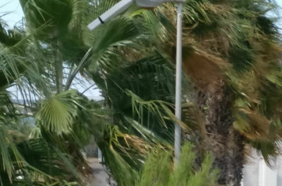 Violenti nubifragi e trombe d'aria nel Salento: allagamenti, camion ribaltati e alberi caduti su case - Corriere Salentino