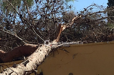 Violenti nubifragi e trombe d'aria nel Salento: allagamenti, camion ribaltati e alberi caduti su case - Corriere Salentino