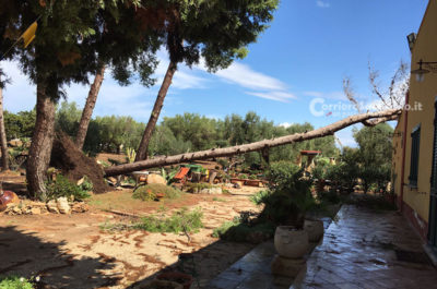 Violenti nubifragi e trombe d'aria nel Salento: allagamenti, camion ribaltati e alberi caduti su case - Corriere Salentino
