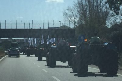 Stremati e arrabbiati, la protesta sulla strada degli olivicoltori salentini. In Prefettura l'assessore regionale Di Gioia promette fondi e ascolto - Corriere Salentino