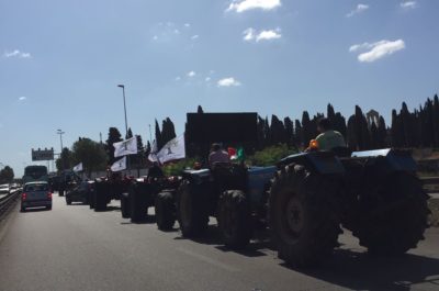 Stremati e arrabbiati, la protesta sulla strada degli olivicoltori salentini. In Prefettura l'assessore regionale Di Gioia promette fondi e ascolto - Corriere Salentino