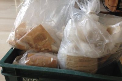 Nardò, tornano "a casa" i manufatti e i reperti fossili di Porto Selvaggio - Corriere Salentino