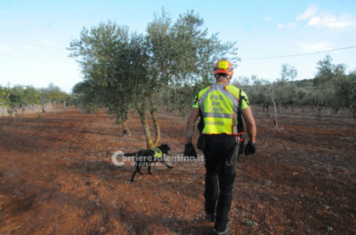 Scomparsa di Noemi: fidanzatino sentito in caserma per ore come persona informata dei fatti - Corriere Salentino