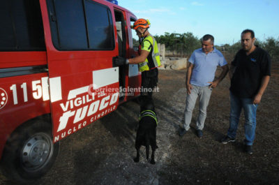 Scomparsa di Noemi: fidanzatino sentito in caserma per ore come persona informata dei fatti - Corriere Salentino