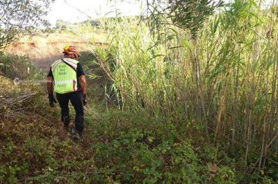 Scomparsa di Noemi: fidanzatino sentito in caserma per ore come persona informata dei fatti - Corriere Salentino