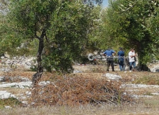 Omicidio Noemi: Procura chiede archiviazione per i genitori di Lucio