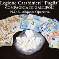 Cocaina purissima sequestrata da carabinieri- spia: in due patteggiano 3 anni e mezzo ciascuno - Corriere Salentino