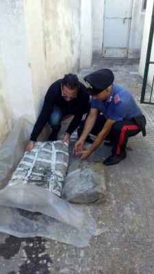 Ingente sequestro di droga, trovati alle Cesine 40 chili di marijuana - Corriere Salentino