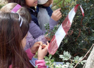 L’erbario del Parco: le piante della macchia mediterranea