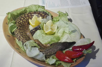 Uno show di cucina sul litorale di Porto Cesareo: “Dalla rete allo chef” per una pesca sostenibile - Corriere Salentino