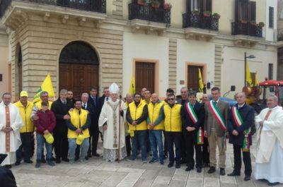 Xylella, l'assessore Di Gioia: "53 milioni al Salento olivicolo" - Corriere Salentino