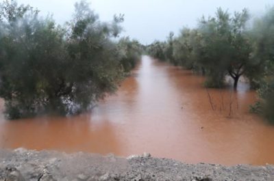 Maltempo. Si contano i danni: terreni allagati e coltivazioni distrutte in tutto il Salento - Corriere Salentino