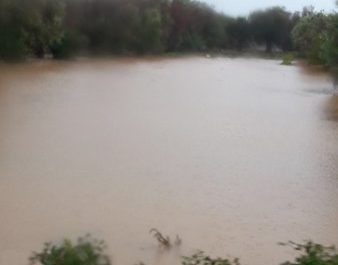 Maltempo. Si contano i danni: terreni allagati e coltivazioni distrutte in tutto il Salento - Corriere Salentino