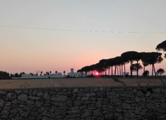 Pasquetta, tutto esaurito in agriturismo con passeggiate in uliveti e boschi didattici